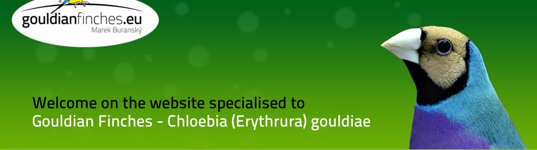 Gouldianfinches.eu – amadina Gouldovej, Chloebia gouldiae, Erythrura Gouldiae, Genetika, Forum