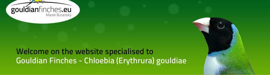 Gouldian finch, Chloebia (Erythrura)gouldiae, Gouldian genetic forecaster - gouldianfinches.eu