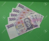 Rychlá finanční nabídka s pojištěním