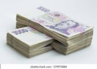 RYCHLÁ ONLINE PŮJČKA