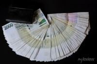 Rychlé půjčky a financování