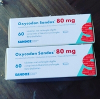 Oxycodone fentanyl ketamine shrooms,LSD , DMT 