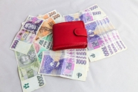 Rychlá finanční pomoc