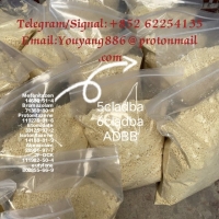 CAS 28578-16-7 PMK ethyl glycidate NEW PMK POWDER